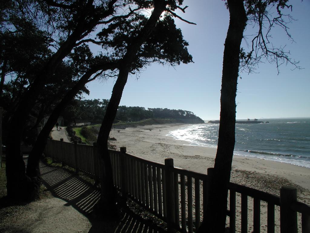 Studio Dunes Aux Ecureuils Saint-Palais-sur-Mer Dış mekan fotoğraf